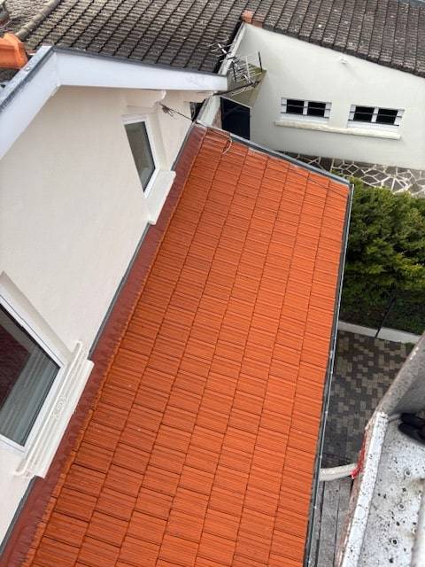toiture demoussage (2)